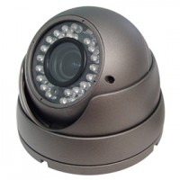 1/3" SONY Super HAD CCD II eyeball dome camera with 5~50mm Varifocal Lens